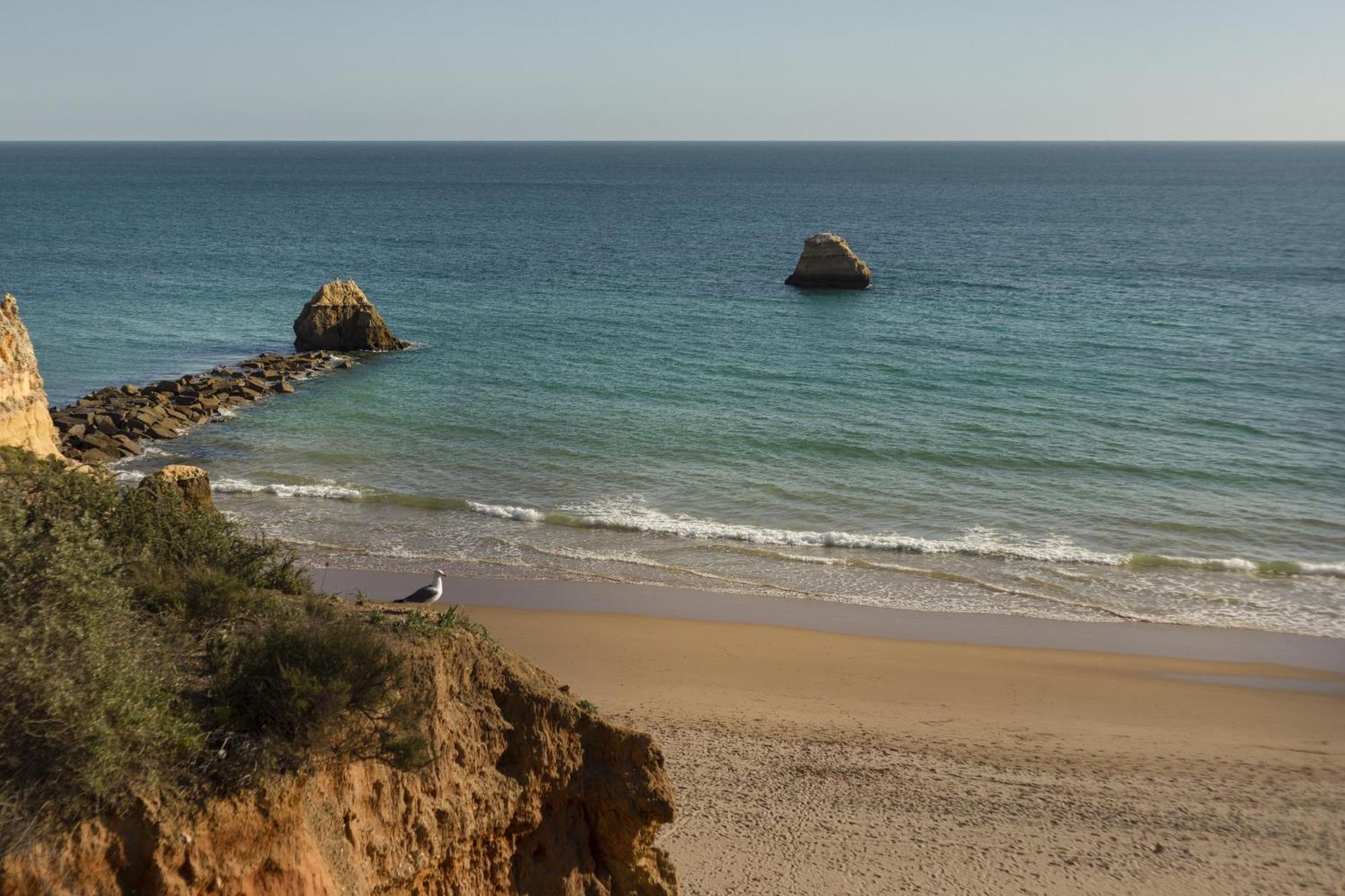 New - Portimao Casinha Διαμέρισμα Εξωτερικό φωτογραφία